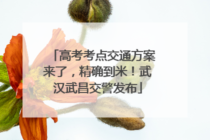 高考考点交通方案来了，精确到米！武汉武昌交警发布