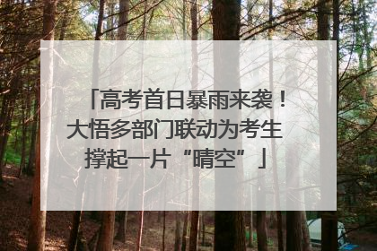 高考首日暴雨来袭！大悟多部门联动为考生撑起一片“晴空”