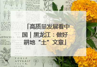 高质量发展看中国｜黑龙江：做好耕地“土”文章