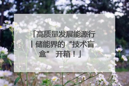高质量发展能源行丨储能界的“技术盲盒” 开箱！