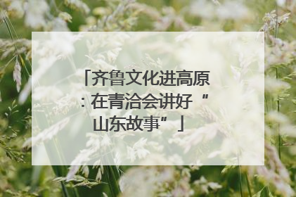 齐鲁文化进高原：在青洽会讲好“山东故事”