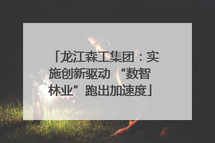 龙江森工集团：实施创新驱动 “数智林业”跑出加速度