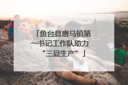 鱼台县唐马镇第一书记工作队助力“三夏生产”