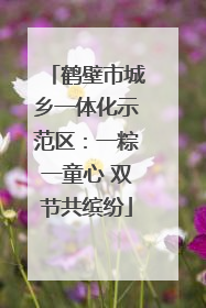 鹤壁市城乡一体化示范区：一粽一童心 双节共缤纷