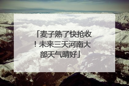 麦子熟了快抢收！未来三天河南大部天气晴好