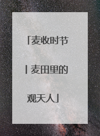 麦收时节丨麦田里的观天人