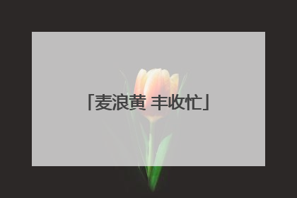 麦浪黄 丰收忙
