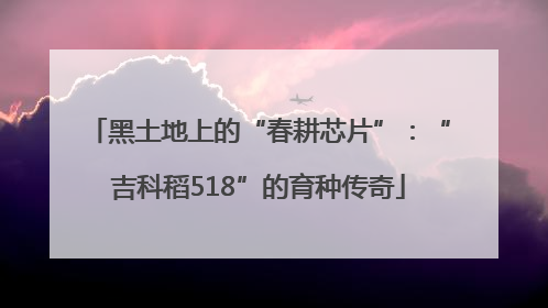 黑土地上的“春耕芯片”：“吉科稻518”的育种传奇