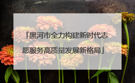 黑河市全力构建新时代志愿服务高质量发展新格局