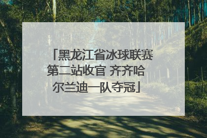 黑龙江省冰球联赛第二站收官 齐齐哈尔兰迪一队夺冠