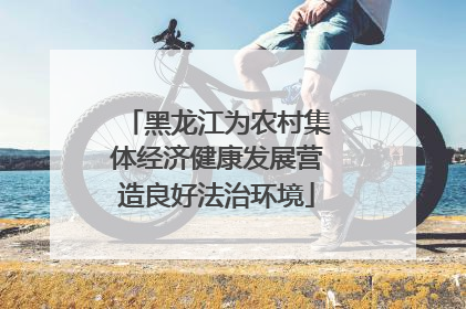 黑龙江为农村集体经济健康发展营造良好法治环境