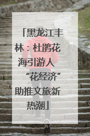 黑龙江丰林：杜鹃花海引游人 “花经济”助推文旅新热潮