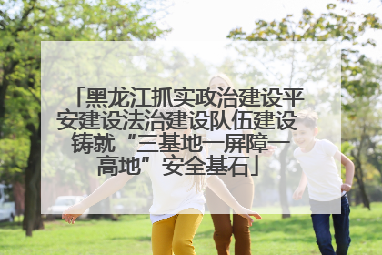 黑龙江抓实政治建设平安建设法治建设队伍建设 铸就“三基地一屏障一高地”安全基石