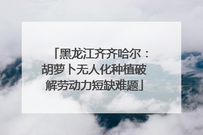 黑龙江齐齐哈尔：胡萝卜无人化种植破解劳动力短缺难题