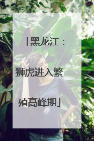黑龙江：狮虎进入繁殖高峰期