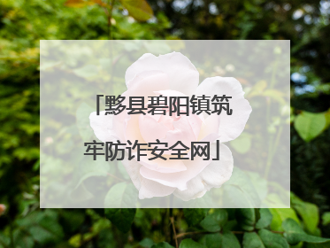 黟县碧阳镇筑牢防诈安全网