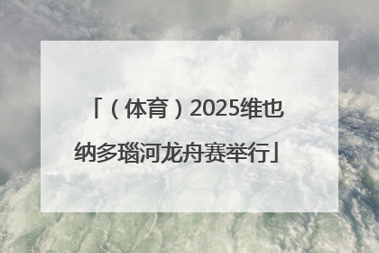 （体育）2025维也纳多瑙河龙舟赛举行