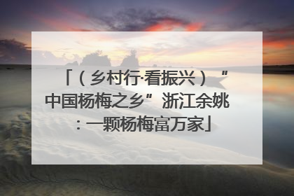 （乡村行·看振兴）“中国杨梅之乡”浙江余姚：一颗杨梅富万家