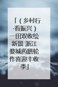 （乡村行·看振兴）一田双收绘新景 浙江婺城药膳轮作喜迎丰收季