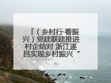 （乡村行·看振兴）党建联建推进村企结对 浙江遂昌实现乡村振兴“加速度”