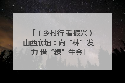 （乡村行·看振兴）山西襄垣：向“林”发力 借“绿”生金