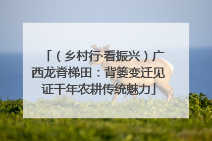 （乡村行·看振兴）广西龙脊梯田：背篓变迁见证千年农耕传统魅力