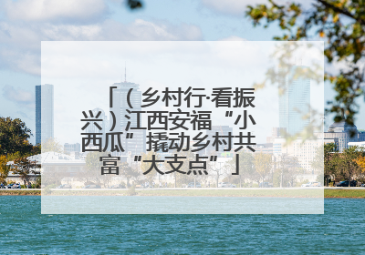 （乡村行·看振兴）江西安福“小西瓜”撬动乡村共富“大支点”
