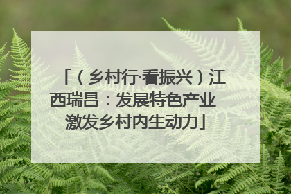 （乡村行·看振兴）江西瑞昌：发展特色产业 激发乡村内生动力