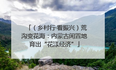（乡村行·看振兴）荒沟变花海：内蒙古闲置地育出“花漾经济”
