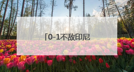 0-1不敌印尼！国足连续第六次无缘世界杯！