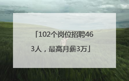 102个岗位招聘463人，最高月薪3万