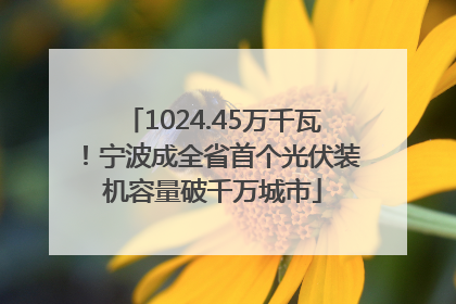 1024.45万千瓦！宁波成全省首个光伏装机容量破千万城市