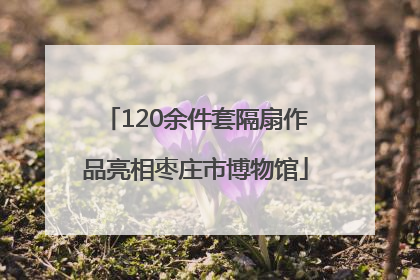 120余件套隔扇作品亮相枣庄市博物馆