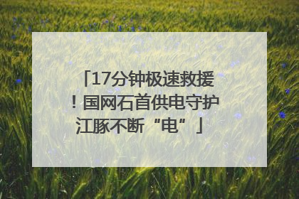 17分钟极速救援！国网石首供电守护江豚不断“电”