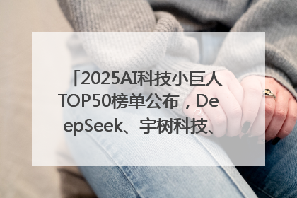 2025AI科技小巨人TOP50榜单公布，DeepSeek、宇树科技、蘑菇车联等企业荣誉上榜
