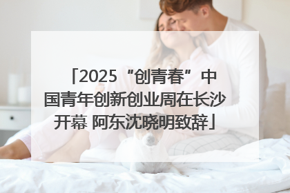 2025“创青春”中国青年创新创业周在长沙开幕 阿东沈晓明致辞