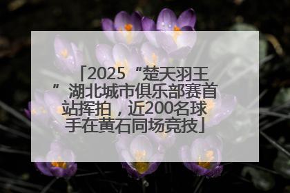 2025“楚天羽王”湖北城市俱乐部赛首站挥拍，近200名球手在黄石同场竞技