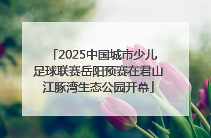 2025中国城市少儿足球联赛岳阳预赛在君山江豚湾生态公园开幕