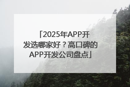 2025年APP开发选哪家好？高口碑的APP开发公司盘点