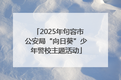 2025年句容市公安局“向日葵”少年警校主题活动