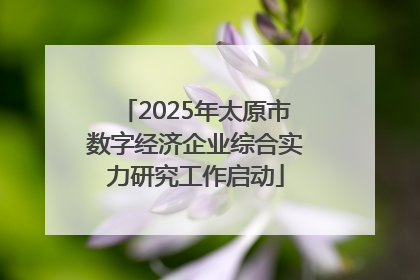2025年太原市数字经济企业综合实力研究工作启动