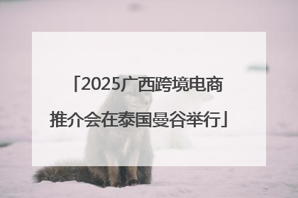 2025广西跨境电商推介会在泰国曼谷举行