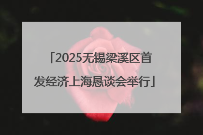 2025无锡梁溪区首发经济上海恳谈会举行