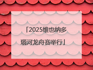 2025维也纳多瑙河龙舟赛举行