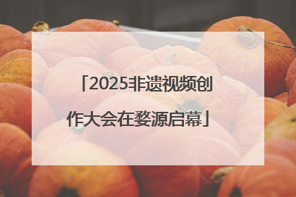 2025非遗视频创作大会在婺源启幕