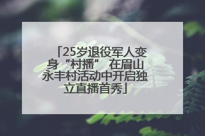 25岁退役军人变身“村播” 在眉山永丰村活动中开启独立直播首秀