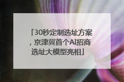 30秒定制选址方案，京津冀首个AI招商选址大模型亮相