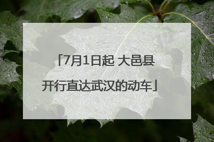 7月1日起 大邑县开行直达武汉的动车