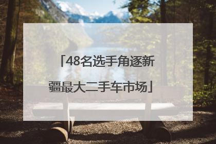 48名选手角逐新疆最大二手车市场