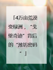 4万亩荒漠变绿洲，“戈壁奇迹”背后的“潍坊密码”